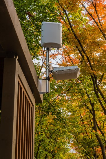 Wifi communication equipment mounted on top of wooden gazebo under trees in public park in South Korea