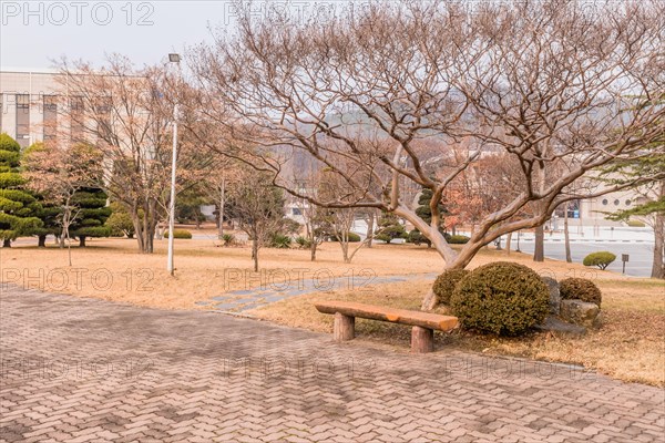 A park bench beside a brick path with trimmed bushes and trees on a cloudy day, in South Korea