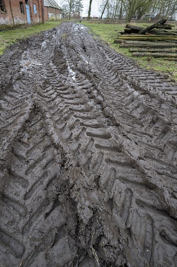 Tractor tyre tracks in softened soil on a farm, Mecklenburg-Vorpommern, Germany, Europe