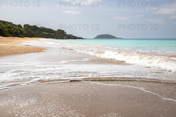 Lonely, wide sandy beach with turquoise-coloured sea. Tropical plants in a bay in the Caribbean sunshine. Plage de Cluny, Basse Terre, Guadeloupe, French Antilles, North America