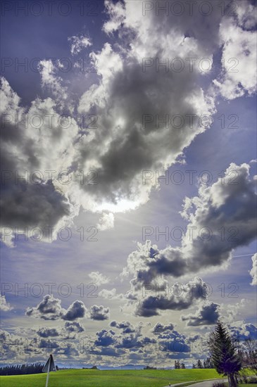 Landscape with cumulus, cumulus, cumulus clouds near Wildpoldsried, Allgaeu, Swabia, Bavaria, Germany, Europe