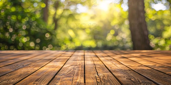 Banner with old wooden planks and blurry forest background. KI generiert, generiert, AI generated