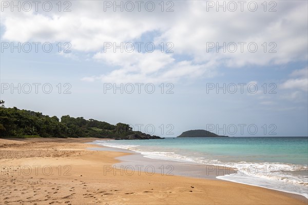 Lonely, wide sandy beach with turquoise-coloured sea. Tropical plants in a bay in the Caribbean sunshine. Plage de Cluny, Basse Terre, Guadeloupe, French Antilles, North America