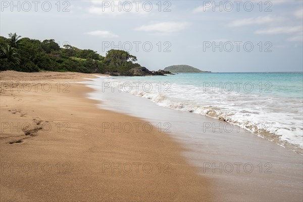 Lonely, wide sandy beach with turquoise-coloured sea. Tropical plants in a bay in the Caribbean sunshine. Plage de Cluny, Basse Terre, Guadeloupe, French Antilles, North America