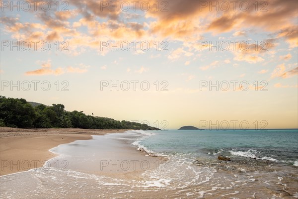 Lonely, wide sandy beach with turquoise-coloured sea. Tropical plants in a bay at sunset in the Caribbean. Plage de Cluny, Basse Terre, Guadeloupe, French Antilles, North America