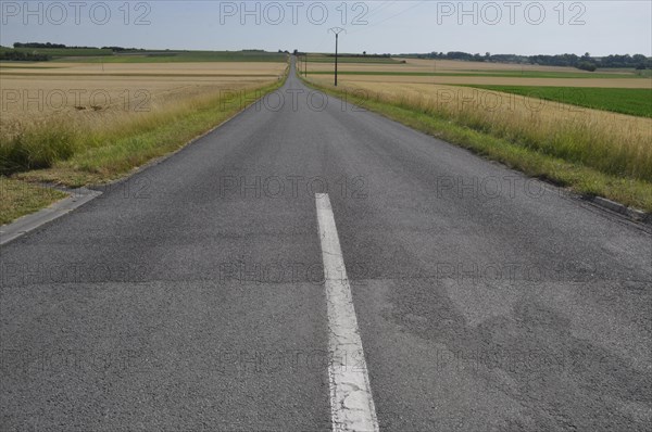 Rural road stretching into the distance with agricultural fields under a clear sky