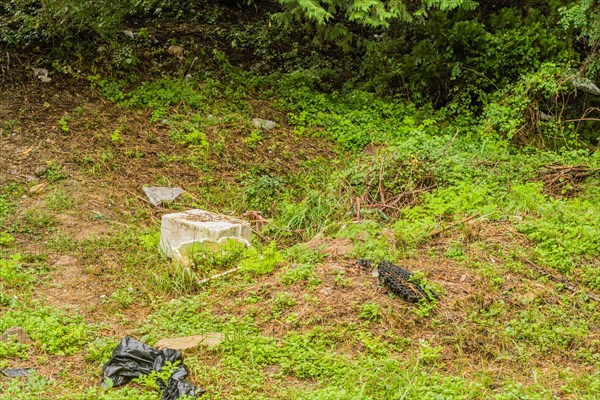 Green forest area polluted with litter and trash, showcasing environmental degradation, in South Korea