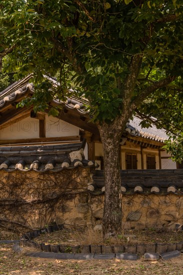 Tree growing in front of Korean style wall of stone, mortar and ceramic tiles in public park displaying traditional architecture in South Korea