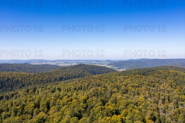 Forest, Spessart Hochstrasse, near Heigenbruecken Spessart, Lower Franconia, Franconia, Bavaria, Germany, Europe