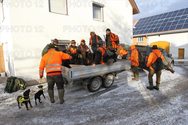 Wild boar (Sus scrofa) hunter with high-visibility waistcoat on trailer, Allgaeu, Bavaria, Germany, Europe