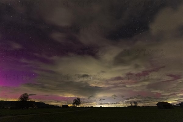 Red and violet northern lights over Upper Bavaria, Aurora borealis, Loisach-Lake Kochel moor, Bavaria, Germany, Europe