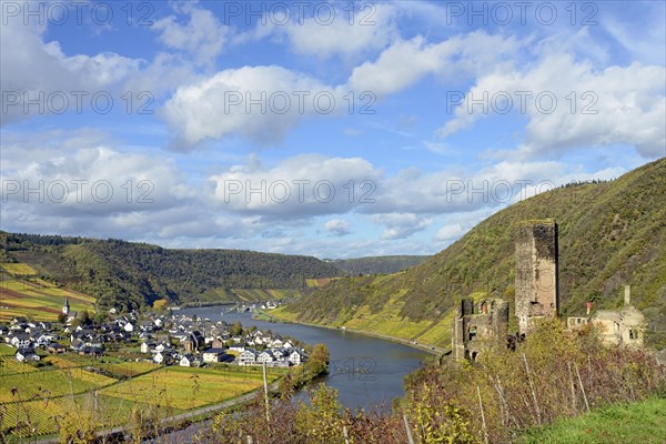 View of the ruins of Metternich Castle near Beilstein and the wine village of Ellenz-Poltersdorf, Ellenz district, blue cloudy sky, Moselle, Rhineland-Palatinate, Germany, Europe