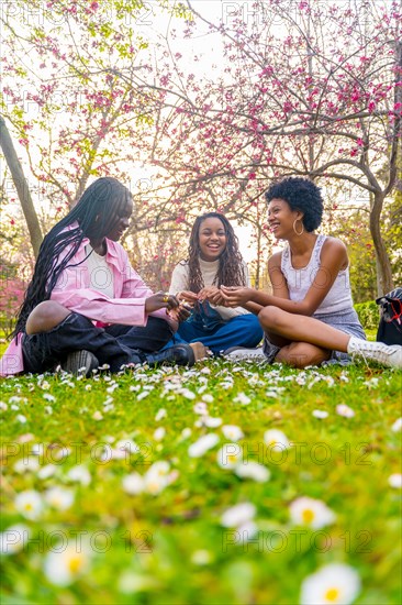 Vertical ground perspective of three african young female friends enjoying beauty spring day in the park sitting and messing with flowers