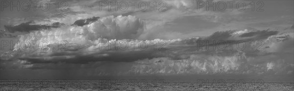 Cumulus cloud (Cumulus) over the Baltic Sea, Kuehlungsborn, Mecklenburg-Western Pomerania, Germany, Europe