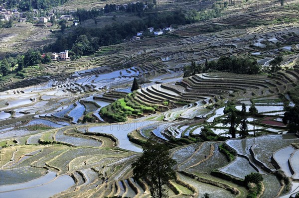 Yuanyang rice terrace, china