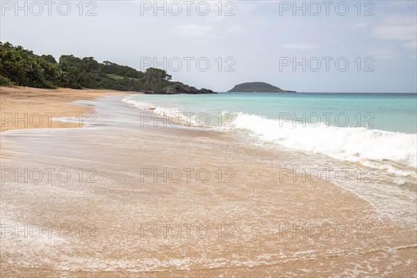 Lonely, wide sandy beach with turquoise-coloured sea. Tropical plants in a bay in the Caribbean sunshine. Plage de Cluny, Basse Terre, Guadeloupe, French Antilles, North America