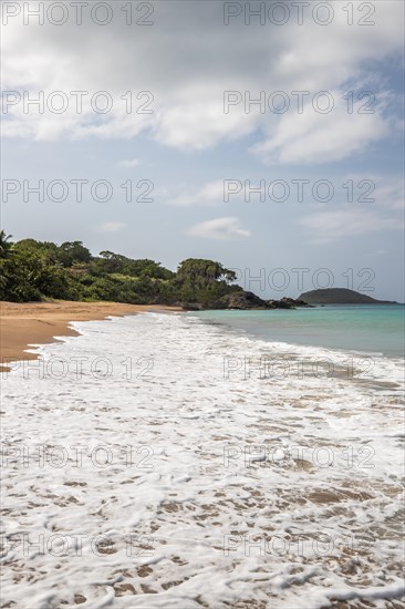 Lonely, wide sandy beach with turquoise-coloured sea. Tropical plants in a bay in the Caribbean sunshine. Plage de Cluny, Basse Terre, Guadeloupe, French Antilles, North America