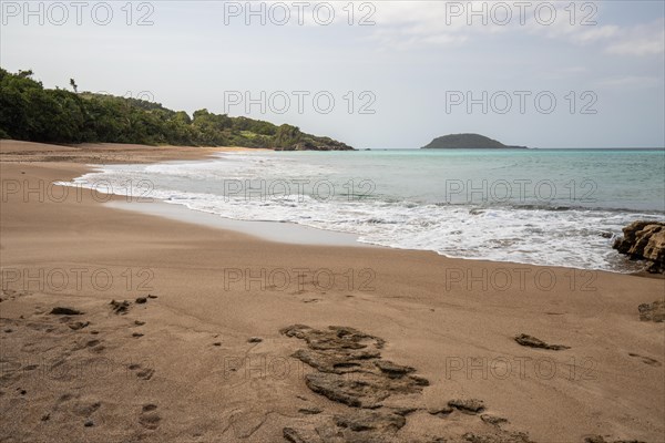 Lonely, wide sandy beach with turquoise-coloured sea. Tropical plants in a bay in the Caribbean sunshine. Plage de Cluny, Basse Terre, Guadeloupe, French Antilles, North America