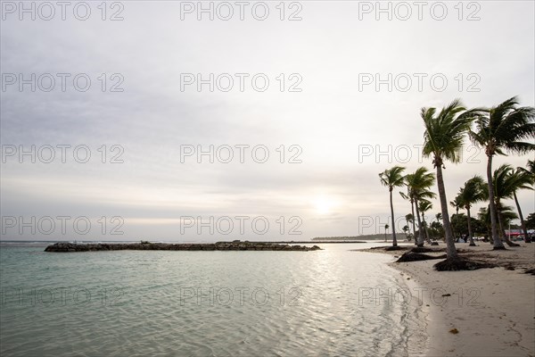 Caribbean dream beach with palm trees, white sandy beach and turquoise-coloured, crystal-clear water in the sea. Shallow bay at sunset. Plage de Sainte Anne, Grande Terre, Guadeloupe, French Antilles, North America