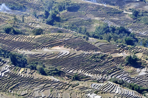 Yuanyang rice terrace, china