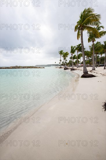 Caribbean dream beach with palm trees, white sandy beach and turquoise-coloured, crystal-clear water in the sea. Shallow bay on a cloudy day. Plage de Sainte Anne, Grande Terre, Guadeloupe, French Antilles, North America