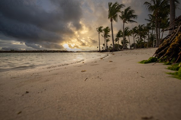 Caribbean dream beach with palm trees, white sandy beach and turquoise-coloured, crystal-clear water in the sea. Shallow bay at sunset. Plage de Sainte Anne, Grande Terre, Guadeloupe, French Antilles, North America