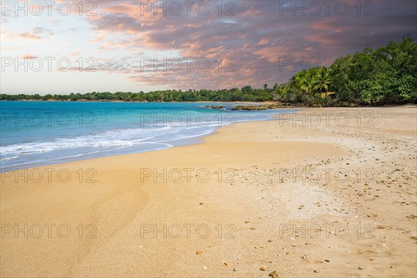 Lonely, wide sandy beach with turquoise-coloured sea. Tropical plants in a bay at sunset in the Caribbean. Plage de Cluny, Basse Terre, Guadeloupe, French Antilles, North America