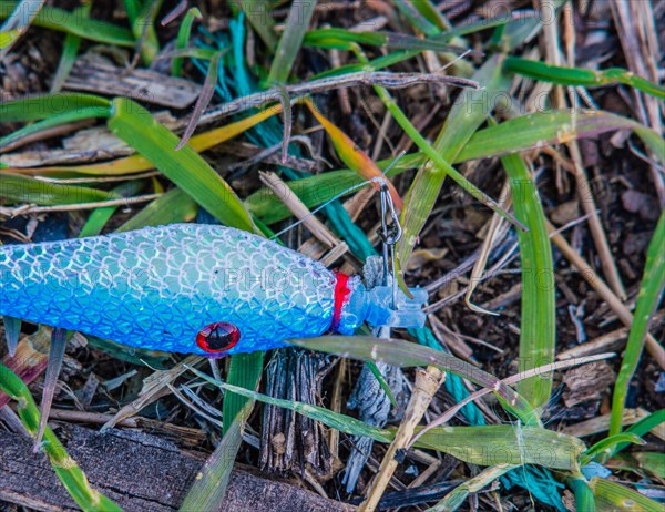 Close-up of a blue fishing lure on the ground, part of outdoor angling gear, in South Korea