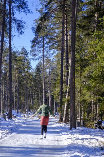 Ice skater, ice path through the forest, Sur En, Sent near Scuol, Engadin, Switzerland, Europe