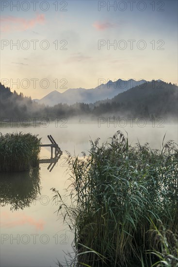 Sunrise and morning fog, Geroldsee or Wagenbruechsee, Kruen near Mittenwald, Werdenfelser Land, Upper Bavaria, Bavaria, Germany, Europe