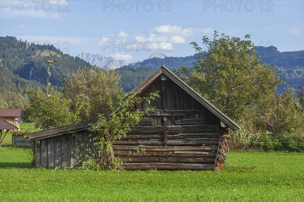 Hay barn with meadow and foothills of the Alps, Garmisch-Partenkirchen, Werdenfelser Land, Upper Bavaria, Bavaria, Germany, Europe