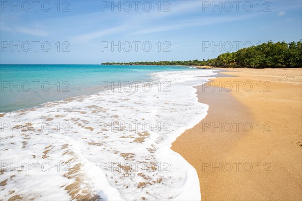 Lonely, wide sandy beach with turquoise-coloured sea. Tropical plants in a bay in the Caribbean sunshine. Plage de Cluny, Basse Terre, Guadeloupe, French Antilles, North America