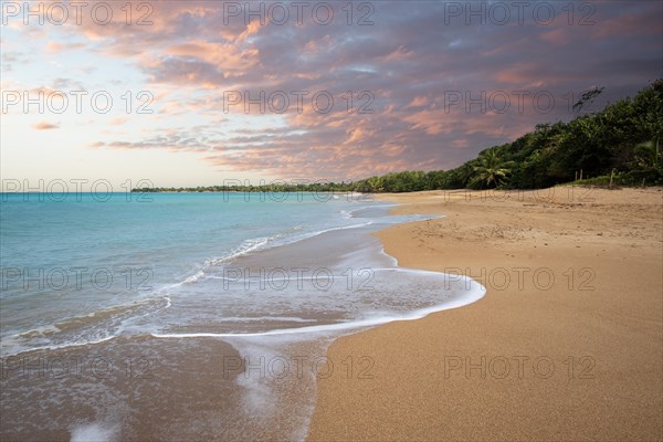 Lonely, wide sandy beach with turquoise-coloured sea. Tropical plants in a bay at sunset in the Caribbean. Plage de Cluny, Basse Terre, Guadeloupe, French Antilles, North America
