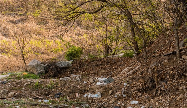 A natural environment littered with garbage beneath a tree, in South Korea