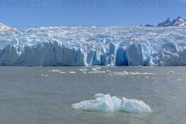 Glacier, Lago Grey, floating ice, Torres del Paine National Park, Parque Nacional Torres del Paine, Cordillera del Paine, Towers of the Blue Sky, Region de Magallanes y de la Antartica Chilena, Ultima Esperanza Province, UNESCO Biosphere Reserve, Patagonia, End of the World, Chile, South America