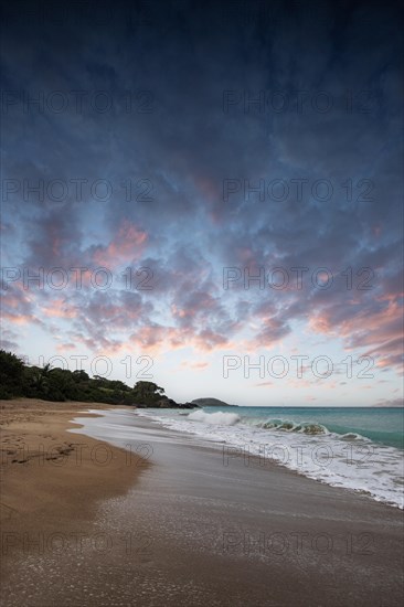 Lonely, wide sandy beach with turquoise-coloured sea. Tropical plants in a bay at sunset in the Caribbean. Plage de Cluny, Basse Terre, Guadeloupe, French Antilles, North America