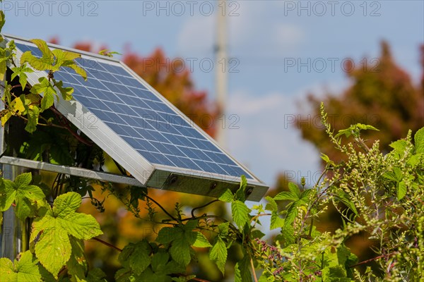 Closeup of small solar panel attached to metal support frame surrounded by green foliage with blurred background in Daejeon, South Korea, Asia