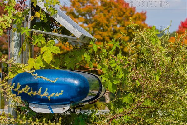 Closeup of small solar panel attached to metal support frame used to power police lights hidden by overgrown bushes in Daejeon, South Korea, Asia