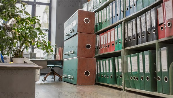 An organised bookshelf with files and a plant in the office, symbolism bureaucracy, AI generated, AI generated