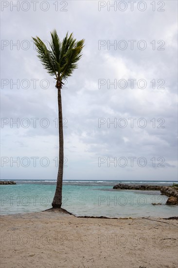 Caribbean dream beach with palm trees, white sandy beach and turquoise-coloured, crystal-clear water in the sea. Shallow bay on a cloudy day. Plage de Sainte Anne, Grande Terre, Guadeloupe, French Antilles, North America