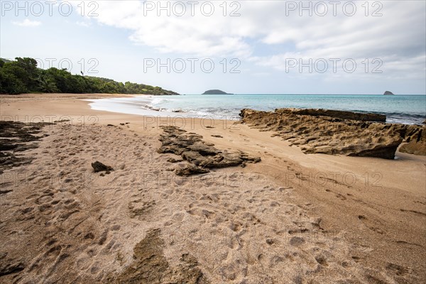 Lonely, wide sandy beach with turquoise-coloured sea. Tropical plants in a bay in the Caribbean sunshine. Plage de Cluny, Basse Terre, Guadeloupe, French Antilles, North America