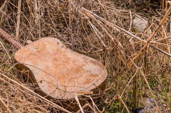 A old discarded guitar in overgrown grass, telling a story of decay and neglect, in South Korea