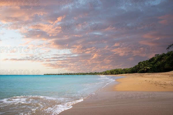 Lonely, wide sandy beach with turquoise-coloured sea. Tropical plants in a bay at sunset in the Caribbean. Plage de Cluny, Basse Terre, Guadeloupe, French Antilles, North America