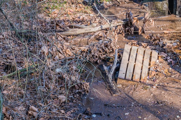 A decaying wooden pallet lies abandoned among leaves and branches, in South Korea