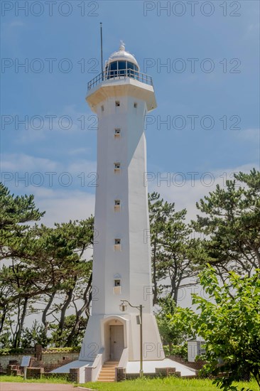 A tall white lighthouse tower against a clear blue sky surrounded by trees, in Ulsan, South Korea, Asia