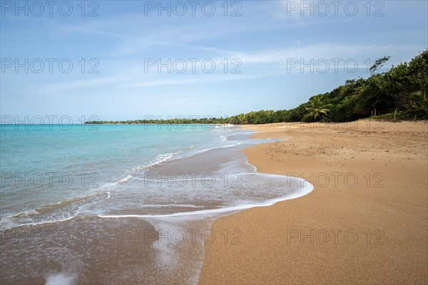 Lonely, wide sandy beach with turquoise-coloured sea. Tropical plants in a bay in the Caribbean sunshine. Plage de Cluny, Basse Terre, Guadeloupe, French Antilles, North America