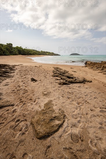 Lonely, wide sandy beach with turquoise-coloured sea. Tropical plants in a bay in the Caribbean sunshine. Plage de Cluny, Basse Terre, Guadeloupe, French Antilles, North America