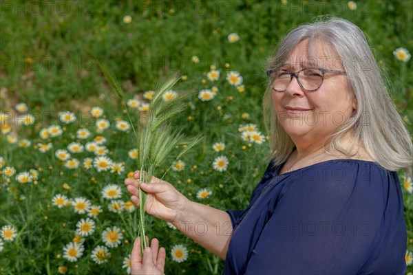 Older white-haired woman in field with ears of barley in her hands with a field of daisies in the background
