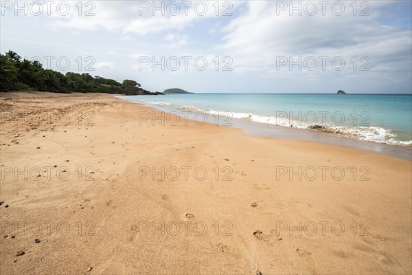 Lonely, wide sandy beach with turquoise-coloured sea. Tropical plants in a bay in the Caribbean sunshine. Plage de Cluny, Basse Terre, Guadeloupe, French Antilles, North America