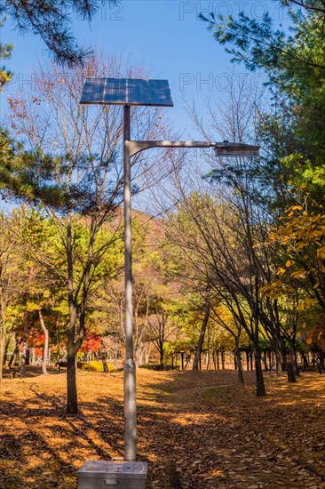 Street light on metal pole powered by solar panel next to walking trail in public park on sunny autumn day in Daejeon, South Korea, Asia